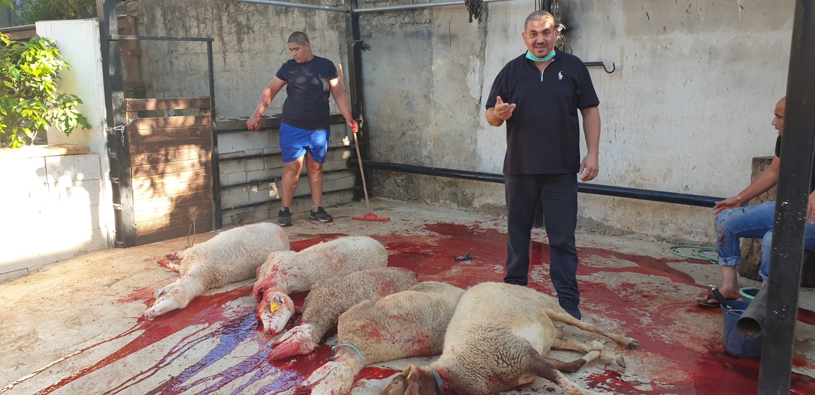 WhatsApp Image 2020-06-25 at 5.48.15 PM (1).jpeg.jpeg